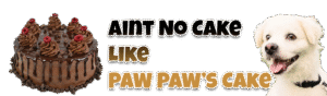 Custom Banner Created Using Photoshop